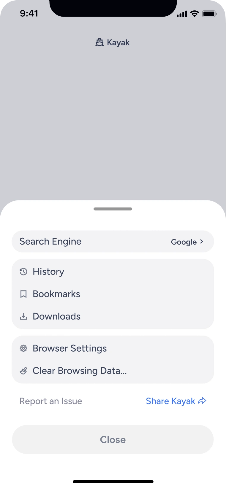 Kayak interface screen 4